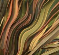Winter leaves, abstractly (Robin Wechsler) - Muzeo.com