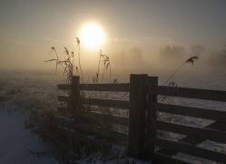 Winter mood (Alida van Zaane) - Muzeo.com