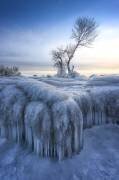 Winter Wonderland (Larry Deng) - Muzeo.com