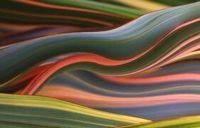 Winters Complicated Colors (Robin Wechsler) - Muzeo.com