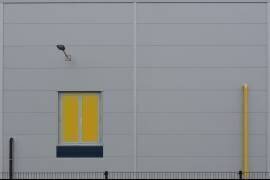 Yellow  Window (Jan Niezen) - Muzeo.com