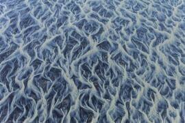 #1 Veins of the Earth (Peter Svoboda MQEP) - Muzeo.com