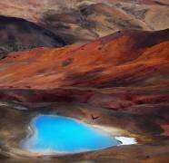 A Blue Heart (BJ Yang) - Muzeo.com