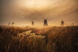 A fascinating morning (Tiger Seo) - Muzeo.com