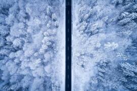 A Frosty Road (Daniel Gastager) - Muzeo.com