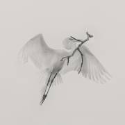 A Good One (Qing Zhao) - Muzeo.com
