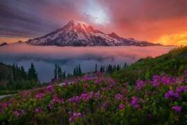 A Moment in Time (Chris Moore) - Muzeo.com