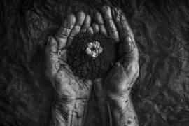 A new life (Stephen Clough) - Muzeo.com