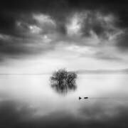 A Ray of Light (George Digalakis) - Muzeo.com