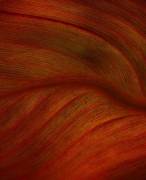 A Red River Runs Through It (Robin Wechsler) - Muzeo.com