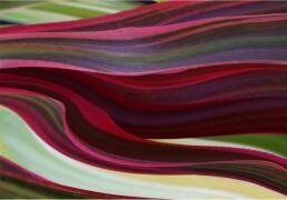 A Red River Runs Through It. (Robin Wechsler) - Muzeo.com