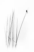 A sabbatical (Swapnil) - Muzeo.com
