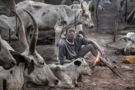 A scene of a Mundari cattle camp-II - South Sudan (Joxe Inazio Kuesta) - Muzeo.com