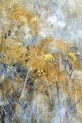 A Time Of Freedom (Delphine Devos) - Muzeo.com