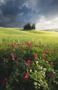After the Storm (Daniele Ceravolo) - Muzeo.com