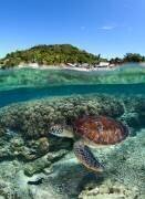 Along shore (Andrey Narchuk) - Muzeo.com
