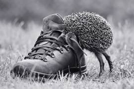 And suddenly it's my size? (Elena Solovieva) - Muzeo.com