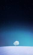 Apple (Bess Hamiti) - Muzeo.com
