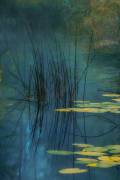 Aqua (Andreas Agazzi) - Muzeo.com