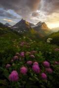 As It Fades (Ryan Dyar) - Muzeo.com