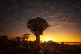 At sunrise (Joanaduenas) - Muzeo.com