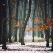 Autumn in my soul (Alexandra Fira) - Muzeo.com