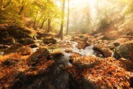 Autumn Journey (Yoshihiko Wada) - Muzeo.com