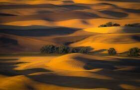 Autumn of Rolling Hills (Eunice Kim) - Muzeo.com
