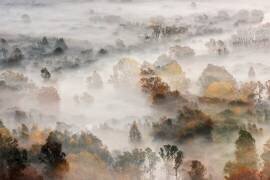 Autumns (Roberto Marini) - Muzeo.com