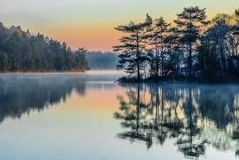 Before people wake (Benny Pettersson) - Muzeo.com