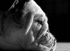 Between the Folds (Mike Melnotte) - Muzeo.com