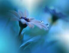 Beyond the Visible... (Juliana Nan) - Muzeo.com