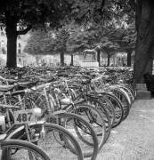 Bicycle Park at Longchamp (Keystone) - Muzeo.com