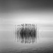 Black and White Silence (George Digalakis) - Muzeo.com