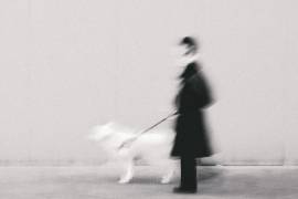 Black in too White (Roberto Ruoli) - Muzeo.com