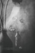 Black, White and Grey (Delphine Devos) - Muzeo.com