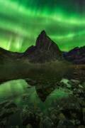 Blaze of Beauty (Chris Moore) - Muzeo.com
