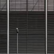 Blinded (Gilbert Claes ) - Muzeo.com