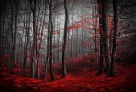 Bloody River (Samanta Krivec) - Muzeo.com