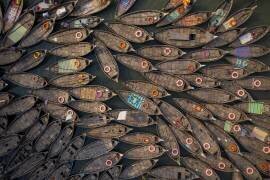 Boats with lifebuoy (Azim Khan Ronnie) - Muzeo.com