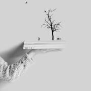 Book Drame Heart (Hadi Malijani) - Muzeo.com