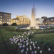 Brandenburger Tor (Ronny Behnert) - Muzeo.com