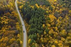 Bright moments of autumn (Dmitry Doronin) - Muzeo.com