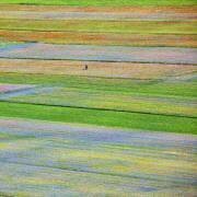 Castelluccio 5 (Massimo Della Latta) - Muzeo.com