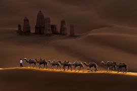 Castle and Camels (Mei Zu) - Muzeo.com