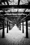 Central Park Winter (Guilherme Pontes) - Muzeo.com