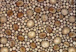Circles (Aida Ianeva) - Muzeo.com