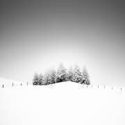 Cohesion (Alexej Schulz) - Muzeo.com