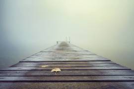 Cold and Misty Morning (Ulrike Eisenmann) - Muzeo.com