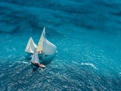 Croisement bleu (Marc Pelissier) - Muzeo.com
